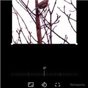 Insegnante in pensione madre lingua